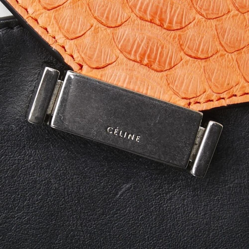 Celine Python One Shoulder Bag Multicolor Exotic - Picture 6 of 13